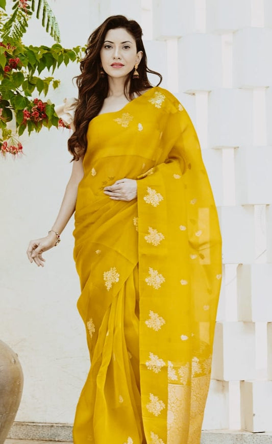 * PURE HANDLOOM* BANARASI KORA SILK SAREE